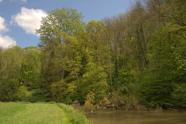 Au bord de la Sarthe à St-Céneri-le-Gérei