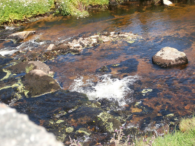 The water was bubbling across the stones