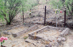 Coronado NF Harshaw cemetery (2203)