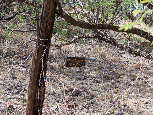 Coronado NF Harshaw cemetery (2205)