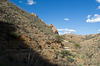 Corondao NF Box Canyon Road #62 (2235)