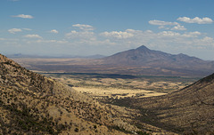 Coronado NF Rt 61 Montezuma Pass (2178)