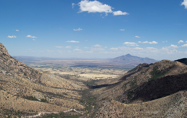 Coronado NF Rt 61 Montezuma Pass (2182)