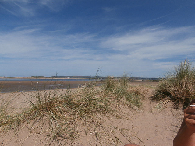 Lovely day for the beach