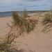 Good advantage point in the dunes