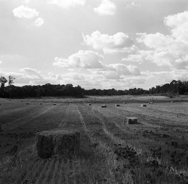 Straw bales