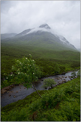 Glencoe 5.