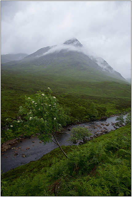 Glencoe 5.