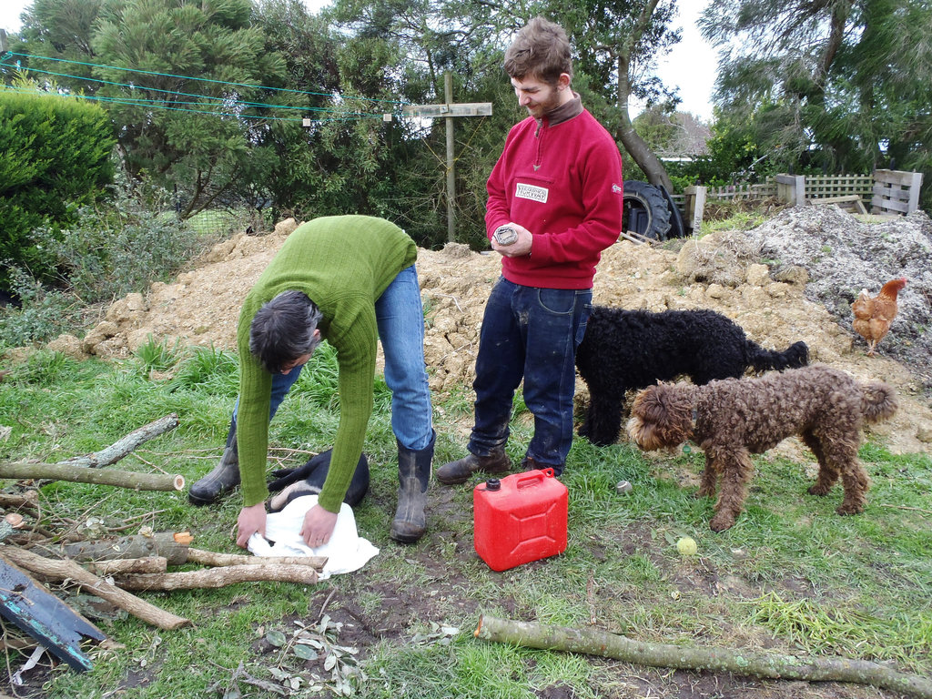 funeral pyre for our piglet Grissy