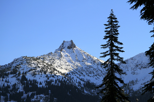 Cutthroat Peak from the Heather Pass Trail