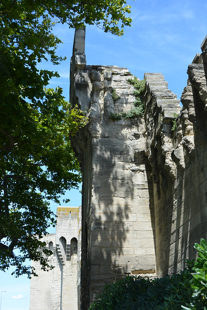 mur d'Avignon près de la porte de l'Oulle