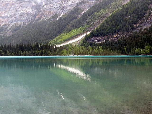 Reflections in a lake