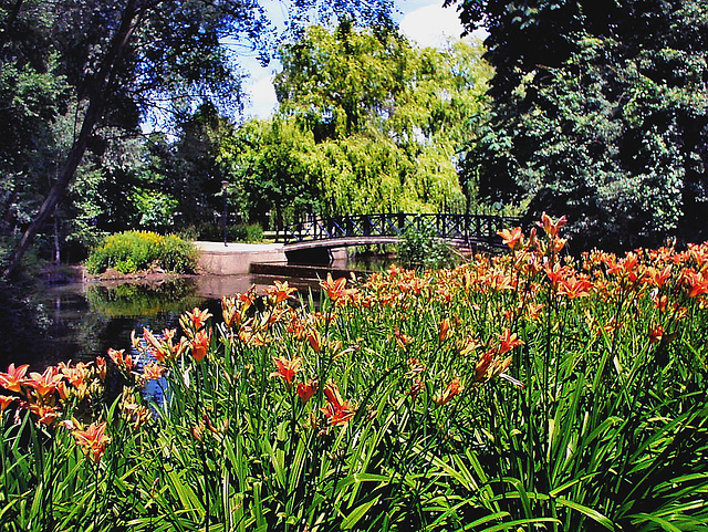 York University gardens.