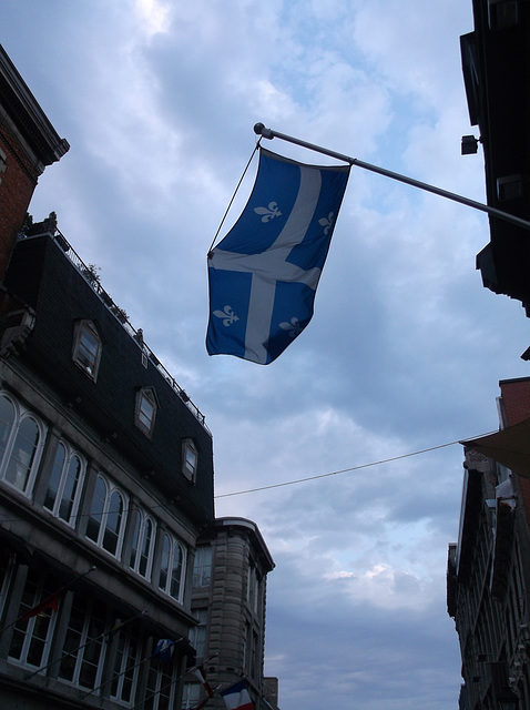 Fleurdelisé sur fond ciel / Quebec flag against sky.