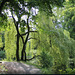 Schlosspark Ritzebüttel