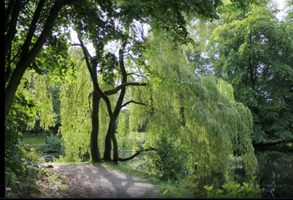 Schlosspark Ritzebüttel