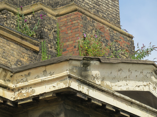 christ church, albany street, camden, london