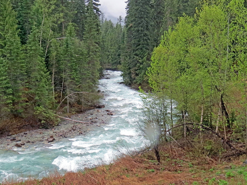 The turquoise river