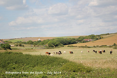 Bishopstone from the South - 9.7.2014
