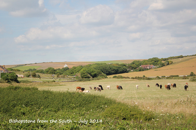 Bishopstone from the South - 9.7.2014