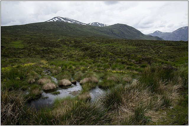 Glencoe 1