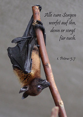 Spruchkarte 9/2014 - gedruckt