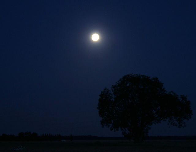 Ce soir c'est la "super lune"