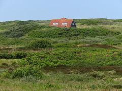 Haus in den Dünen