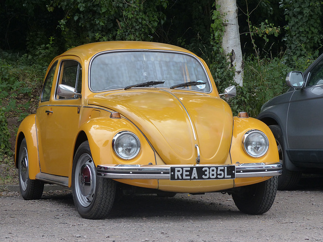 A Beetle at Quorn - 15 July 2014