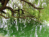 boating lake, regents park, london