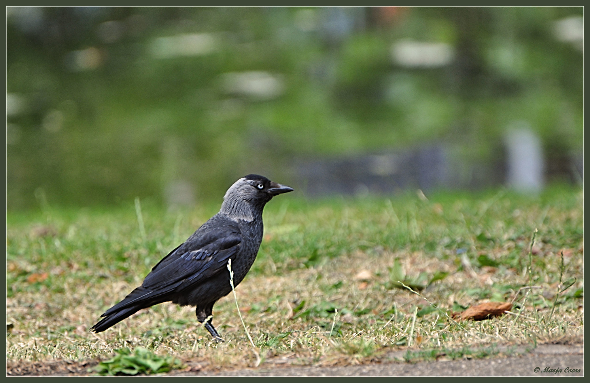 Photography course 05-07-2014