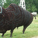 Barbed Wire Bison