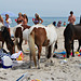 Beach + Wild Horses = Surreal Image