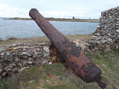 Rouille guerrière / Warrior rust.