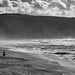 windy_beach