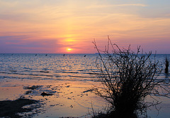 Sonnenuntergang an der Nordsee