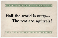 Half the World Is Nutty--The Rest Are Squirrels!