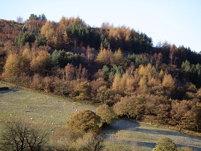 Shire Hill