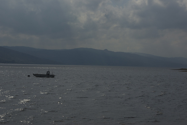 South Down Loch Fyne