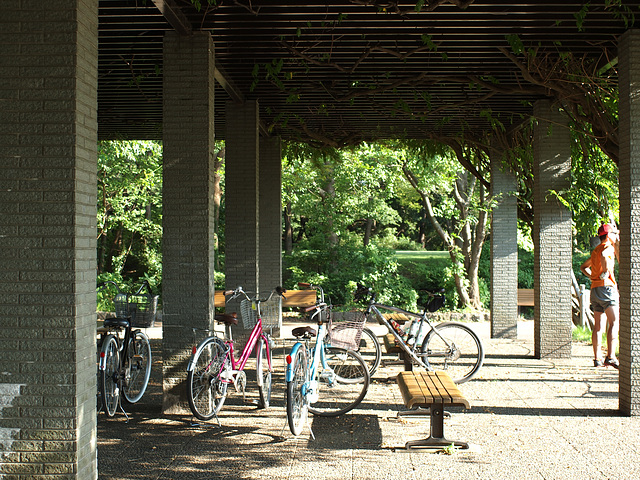 Oasis for cyclists