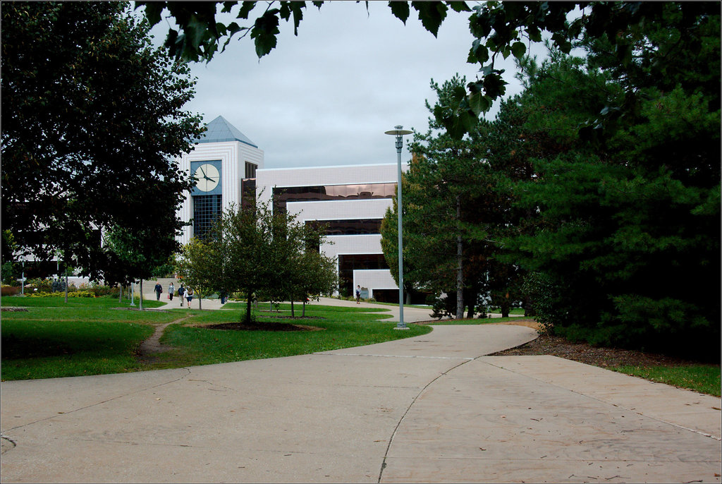 Waldo Library