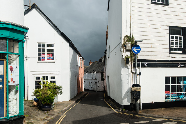 Totnes - 20140813