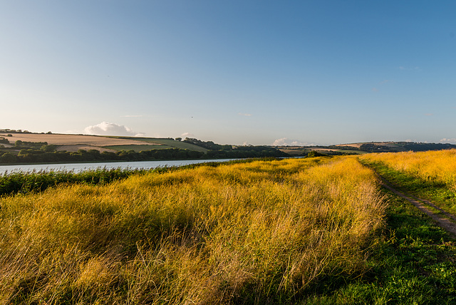 Slapton Ley - 20140812