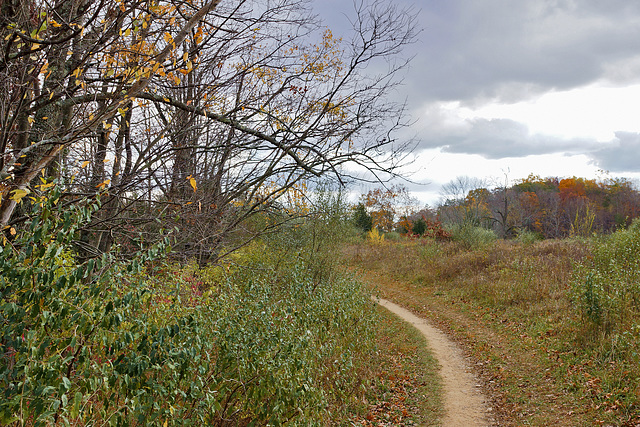 A Curve Along the Path – Kittatinny Valley State Park, Andover, New Jersey