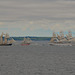 Start of Tall Ships race in Falmouth