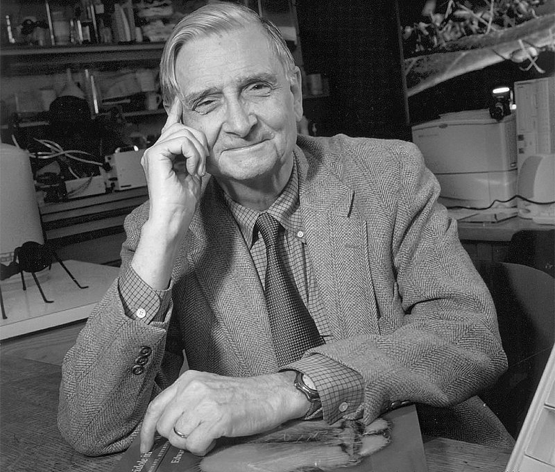 E.O Wilson