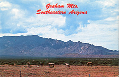 Graham Mountains Near Safford, Arizona
