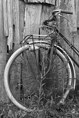 The forgotten bike