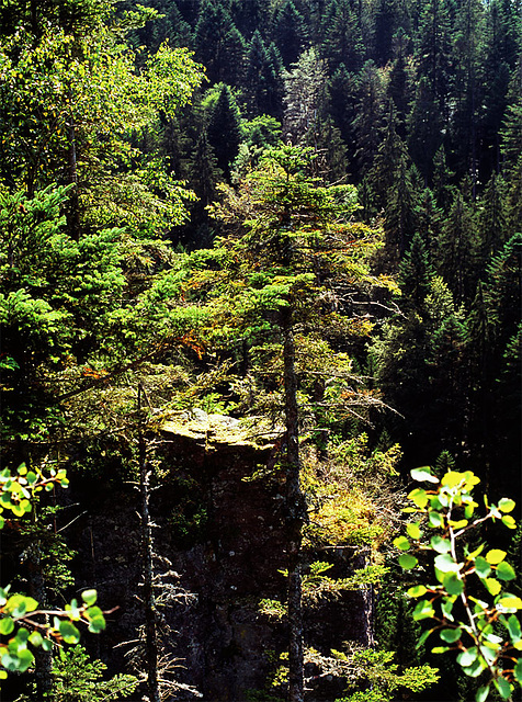 on the left side of the castle