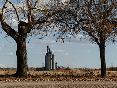 The Viterra Calgary East grain terminal